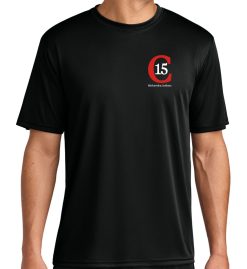 Black Cooling Performance T-Shirt (Club 15)